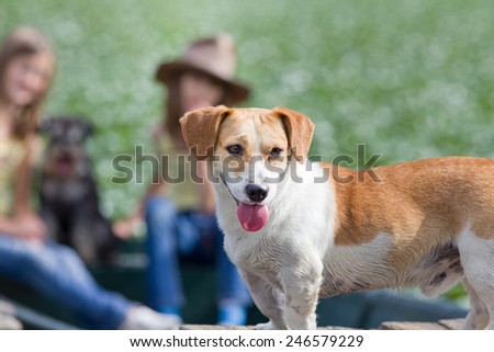 Cute yellow and white dog standing in front plan and two girls with another dog sitting in background