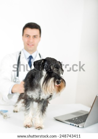 Afraid dog on veterinary examination standing on table