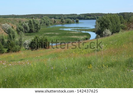 The source of the river among the reed in the valley. Horizontal view