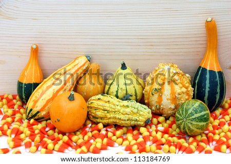 colorful gourds with corn tooth candy on wooden background