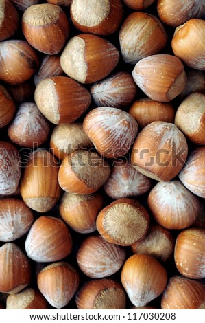 a lot of dried hazelnut for background use