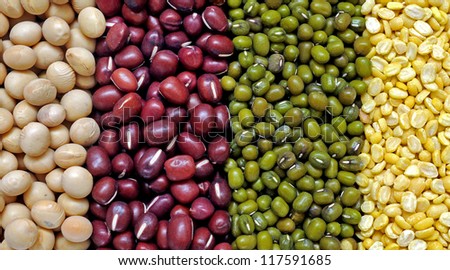 four type of beans for background uses