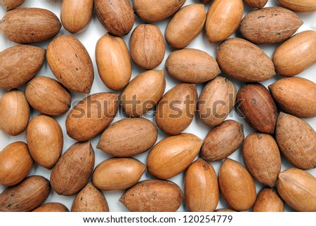 pecan in hard shell for background uses