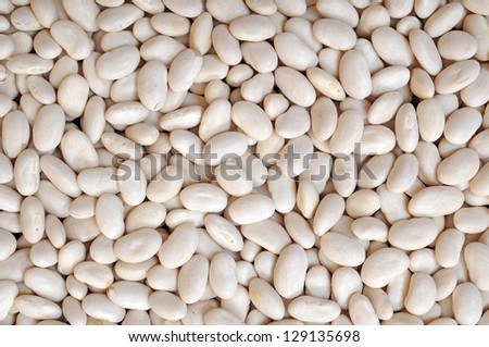 navy beans for background uses