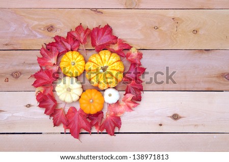 mini pumpkin with Autumn season decoration
