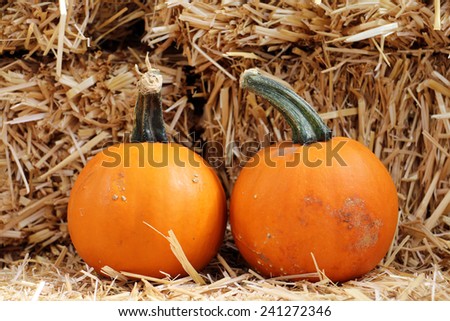 a pair of pumpkin with hay for Fall decoration