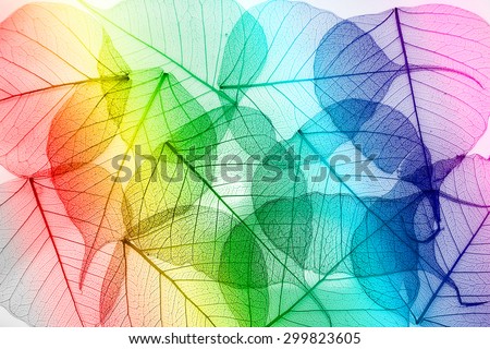 Colorful  leaves  seamless  on white background.