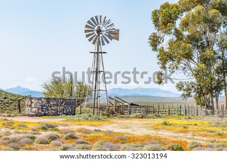 A water pumping windmill, dam and a kraal on a farm next to the road from Spoegrivier to Klipfontein in the Northern Cape Namaqualand region of South Africa
