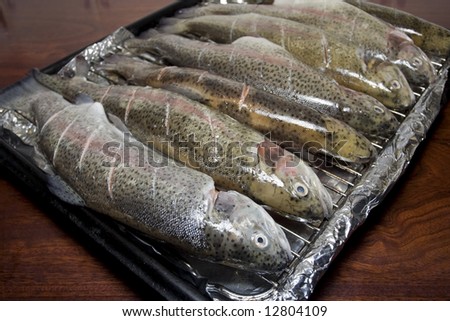 Tray of prepared fish ready for grilling