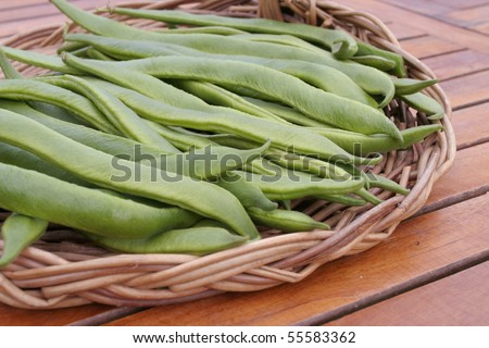 Freshly picked french green runner beans