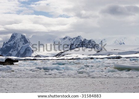 ice floes in front of glacier