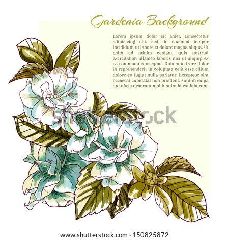 corner gardenia background