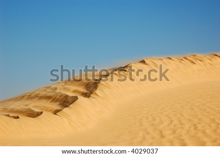 Wind blow above the top of sand sune in Sahara desert