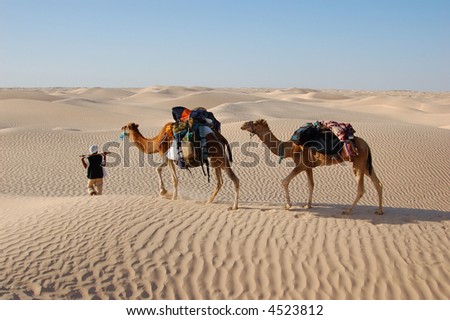 bedouin and camel caravan in desert Sahara