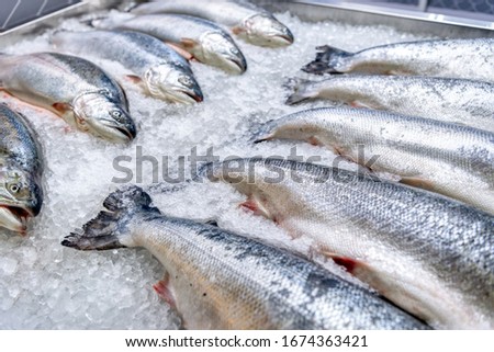 Similar – Image, Stock Photo Fresh fish on ice in wooden crates in front of a shop in Bursa, Turkey