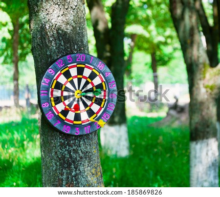 Old board game of darts with three arrows. Anchored in a city park on a tree.
