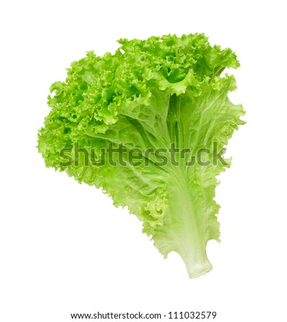 lettuce salad on a white background