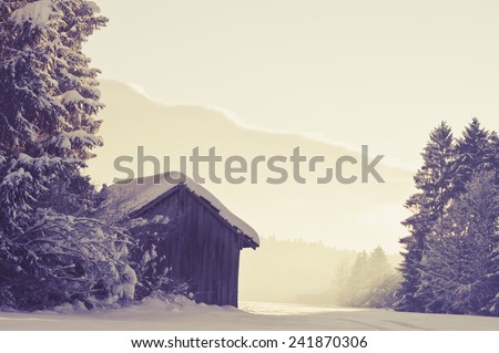 Winter house in forest
