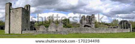 Ruin. Trim Priory of St John the Baptist. Trim, Co. Meath, Ireland. This photo is composed from 4 separate shots