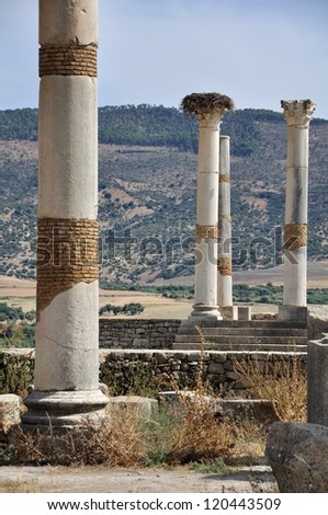 Volubilis is the best preserved Roman site in Morocco. It was declared a UNESCO World Heritage. Columns