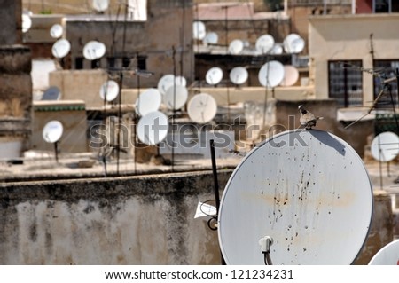 A bird sit at the satellite dish with other dishes blurred at the background in Fez Medina, Morocco