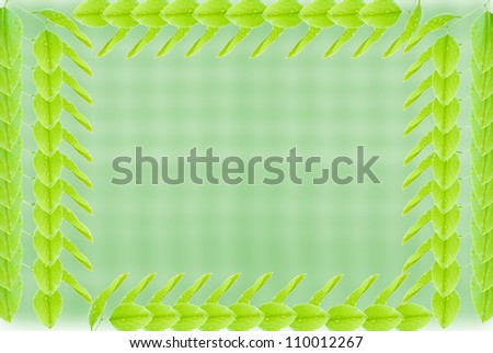 pattern of leaf on white background or texture