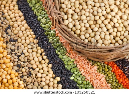 basket with soybeans on the background of the striped rows of lentils, beans, peas, grain, legumes, seed