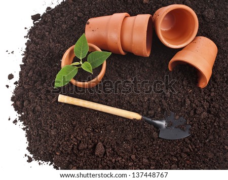 border of gardening tools and seedling in soil surface isolated on a white background