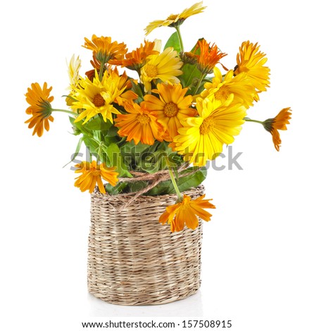 orange  rural bouquet heap of calendula in wicker box close up Isolated on white background