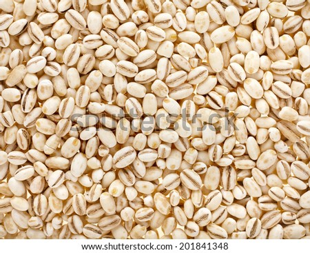 Pearl Barley Surface Texture Background