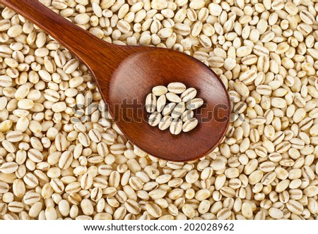 pearl barley grains in a wooden spoon close up  surface top view background