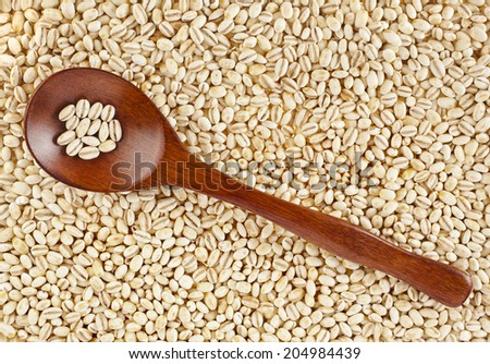 pearl barley with wooden spoon close up surface top view background