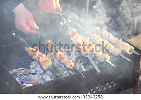 pork barbecue,outdoor picnic