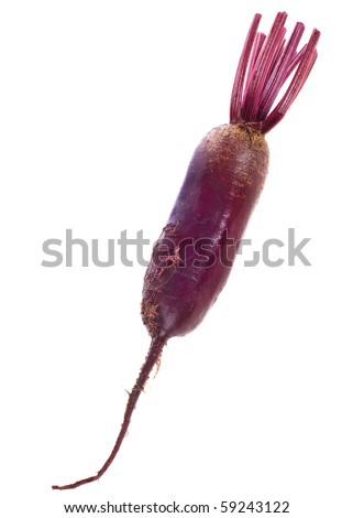 Beet , Beetroot , Table Beet isolated on white