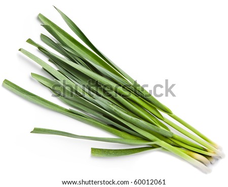 Young Green Garlic Leaves Isolated Stock Photo 60012061 : Shutterstock