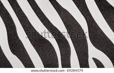 Black and white texture of zebra skin