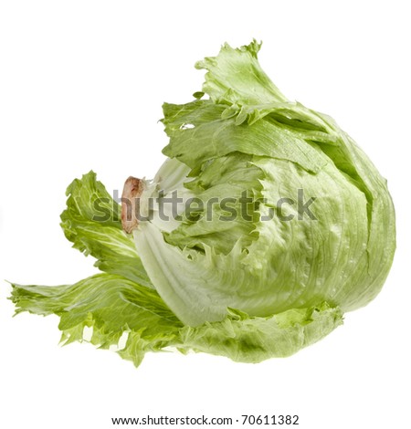 Fresh iceberg lettuce salad isolated on white
