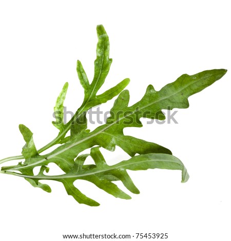 Fresh Rucola Lettuce (Arugula), Isolated On White Stock Photo 75453925 ...