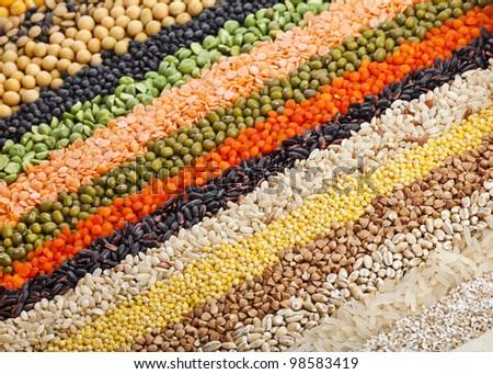 colorful striped rows of dry lentils, soya beans, grain , peas, groats , buckwheat, soybeans, legumes, rice, backdrop