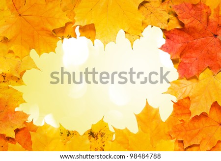 Autumn frame with yellow lights in the background