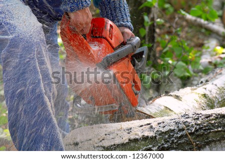 Man cutting big piece of wood with chain saw.