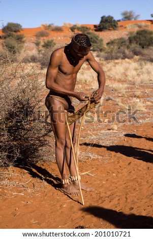 MARIENTAL, NAMIBIA - AUGUST 19: san bushmen man show people how he hunts in the kalahari desert in Namibia august 19, 2013 in Mariental, Namibia