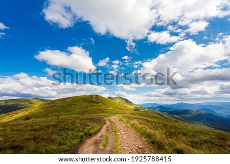 Beautiful landscape photo taken in polish Bieszczady mountains during summer. Trail via Bukowe Berdo to Tarnica, Bieszczadzki Park Narodowy Zdjęcia stock © 