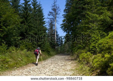 Tourist walking through mountain path photo taken in Beskidy mountains - Rysianka, during summer.