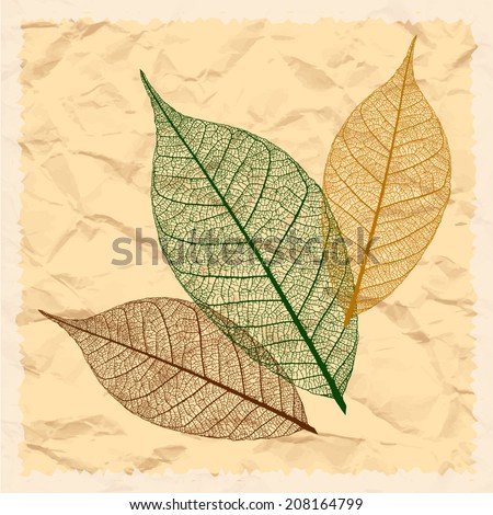 Download Dry Leaves 3 Wallpaper 1920x1080 | Wallpoper #435914