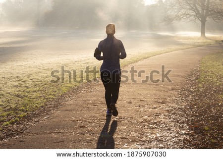 Similar – Image, Stock Photo Winter Run Silhouette Fog