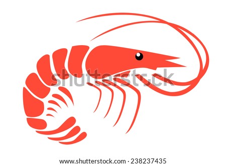 Shrimp Stock Vector 238237435 : Shutterstock
