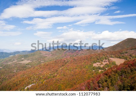 The mountain autumn landscape with colorful forest with blue and cloudy sky