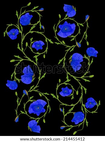 blue poppy flower ornament strips isolated on black background