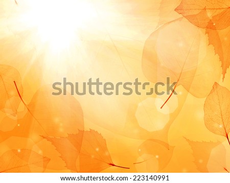 bright brown background from thin leaves